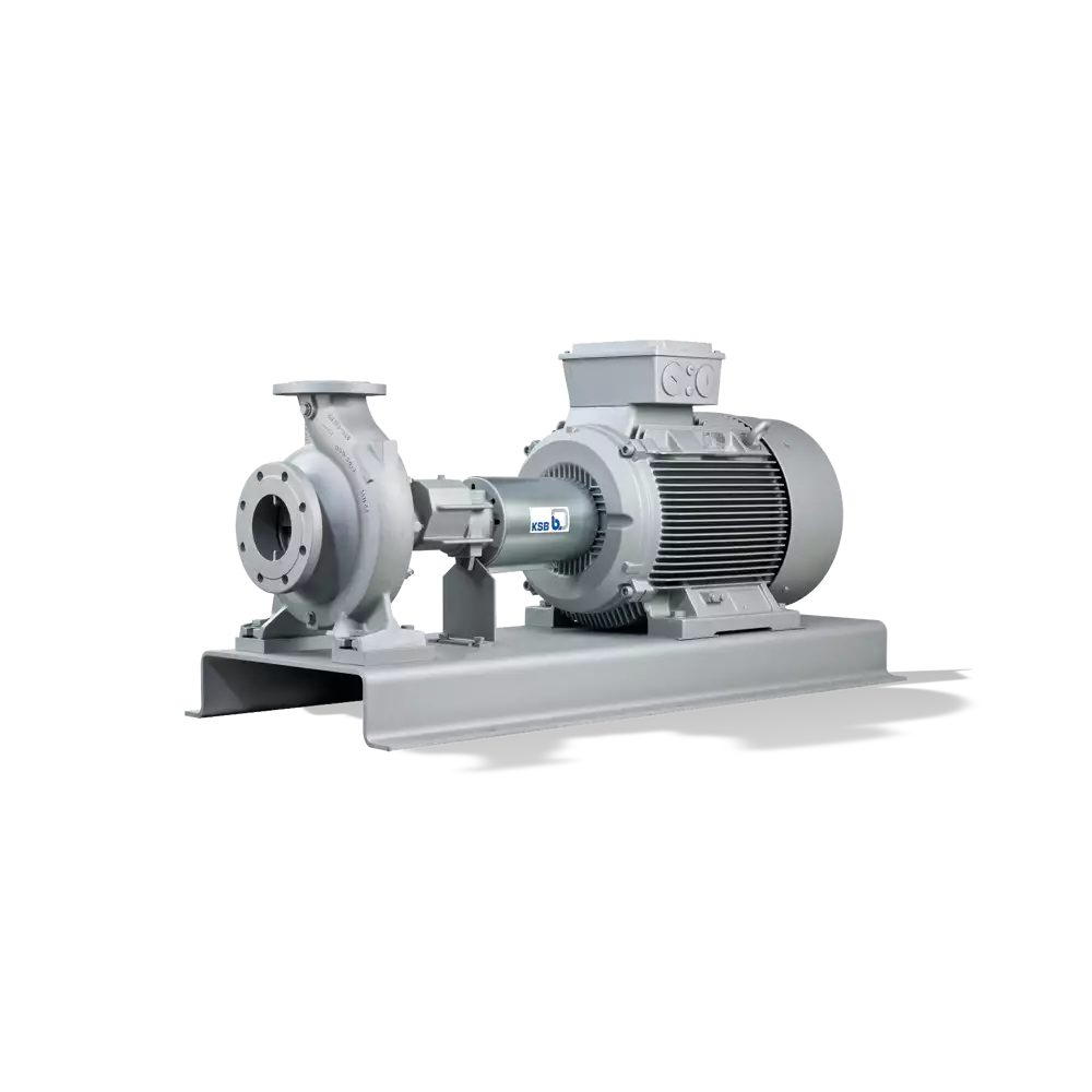 Kızgın Yağ Pompaları