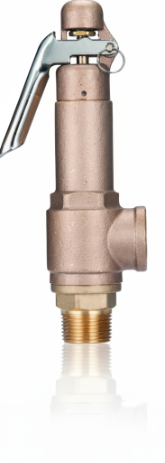Bronze Safety Valves