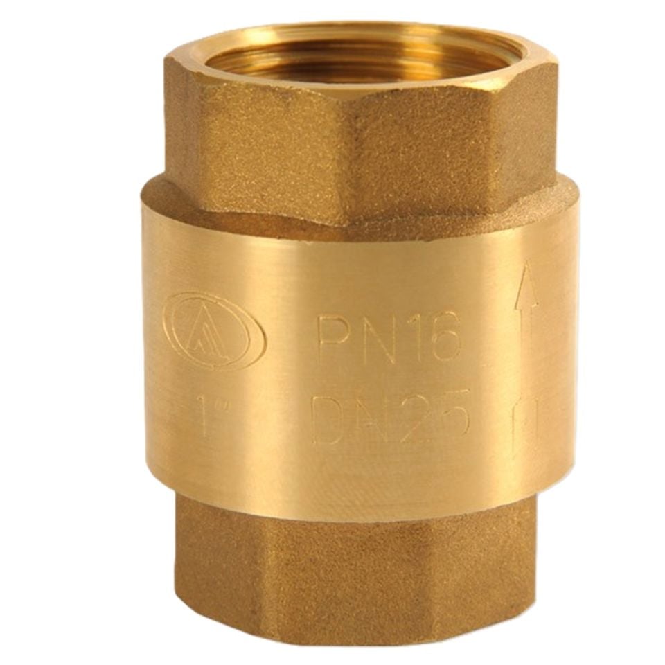 AYVAZ SC-600 Brass Spring Check Valve 2'' PN16