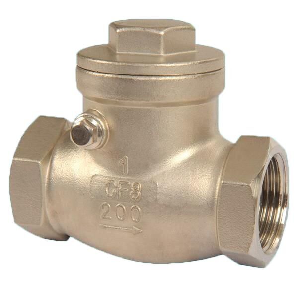 AYVAZ SC-201 Stainless Steel Swing Check Valve AISI 304 1