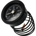 PAKKENS Arka Bağlantılı Gazlı Termometre Ø40mm 120°C