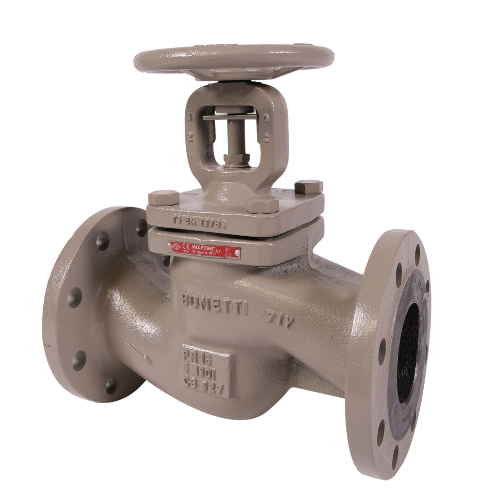 VALFTEK Globe Valve DN25 PN16