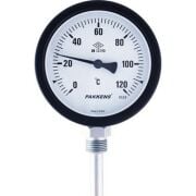 PAKKENS Alt Bağlantılı Termometre Ø100mm 120°C 1/2''