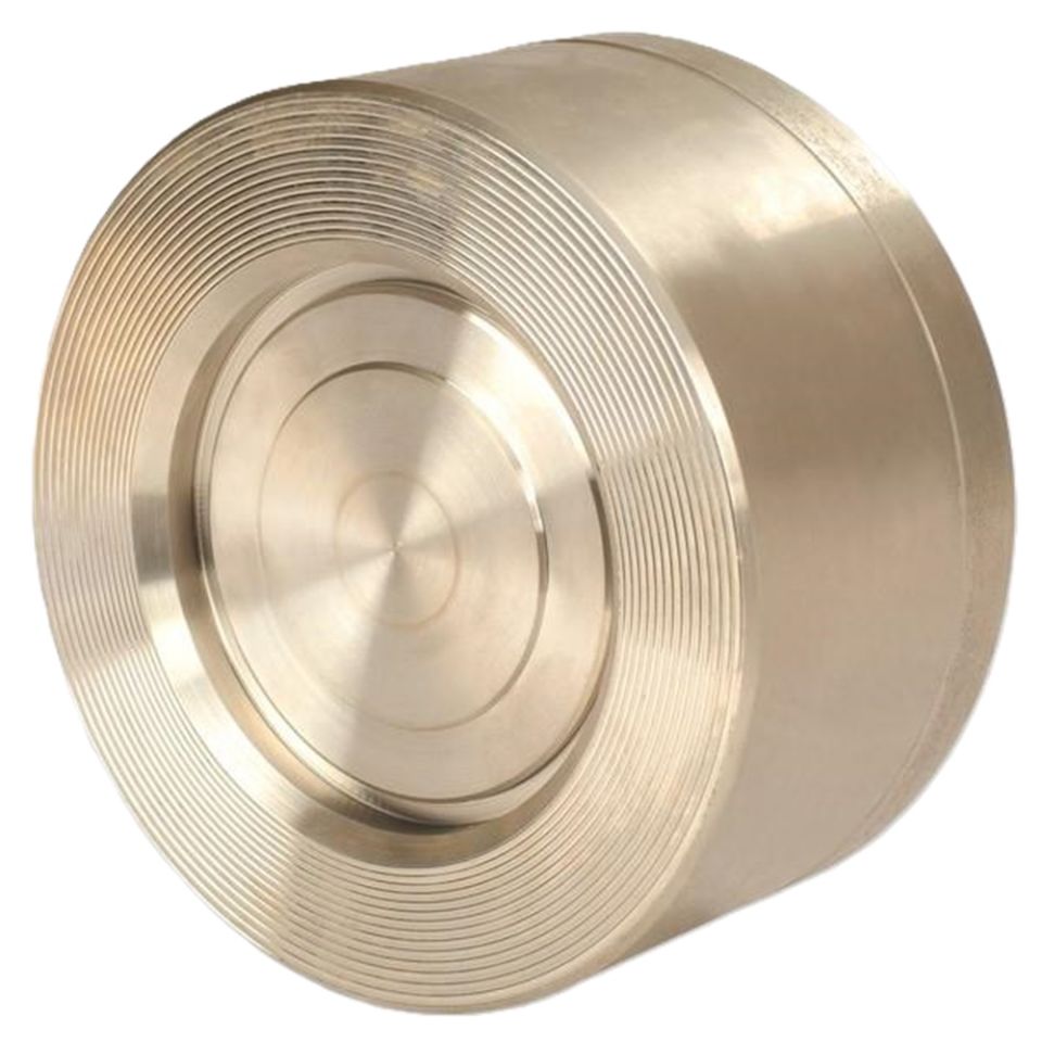 Ayvaz ÇV-11 / S2 Stainless Steel Disc Check Valve