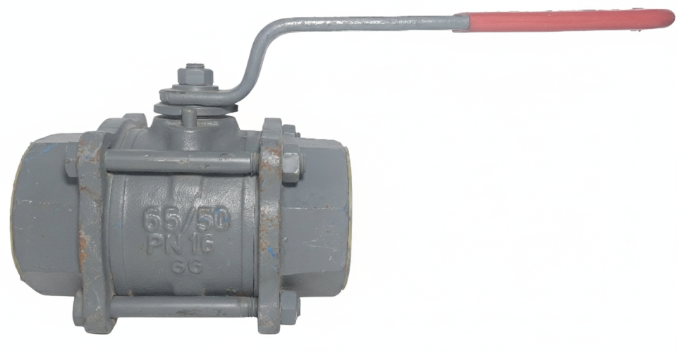 Döküm Küresel Vana  2 1/2'' PN16