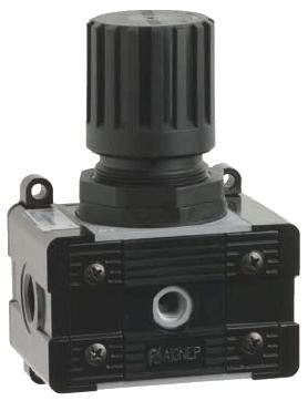 AIGNEP T020 REG1 Air Pressure Regulator 1/4