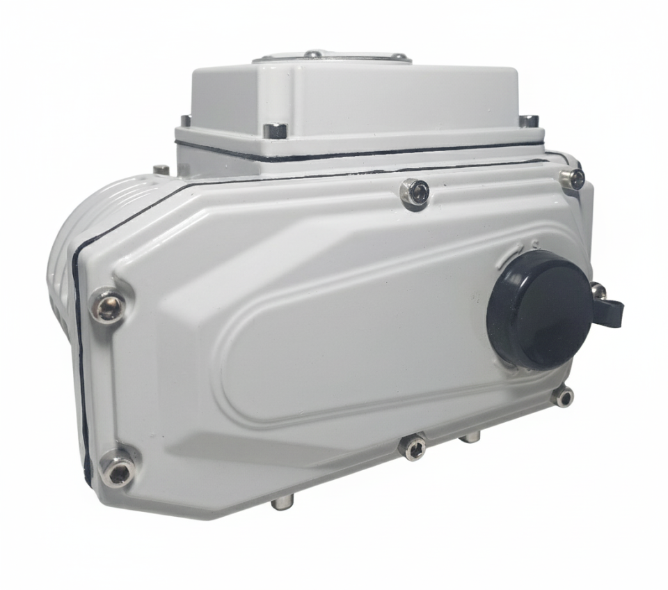 DMS Electric Actuator 100Nm 220V AC