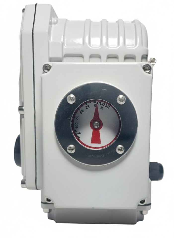 DMS Electric Actuator 100Nm 220V AC
