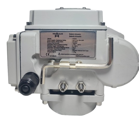 DMS Electric Actuator 100Nm 220V AC