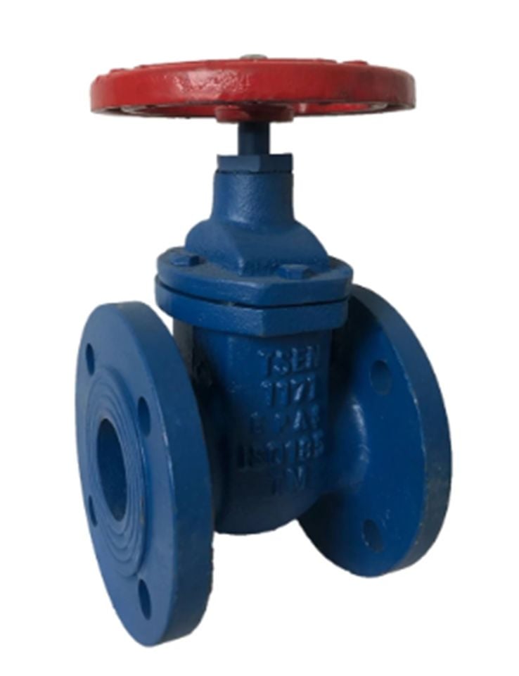 ASVAN Sürgülü Vana DN40 PN4