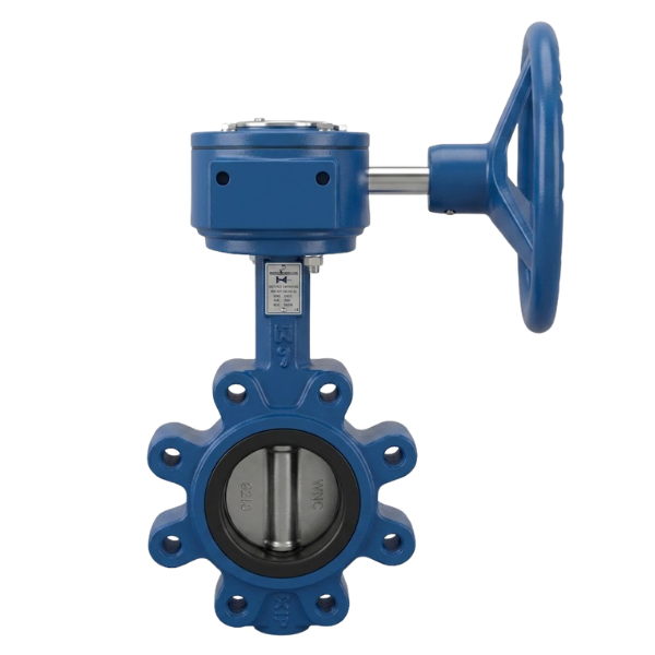 Redüktörlü Lug Tipi Kelebek Vana PN16 DN100