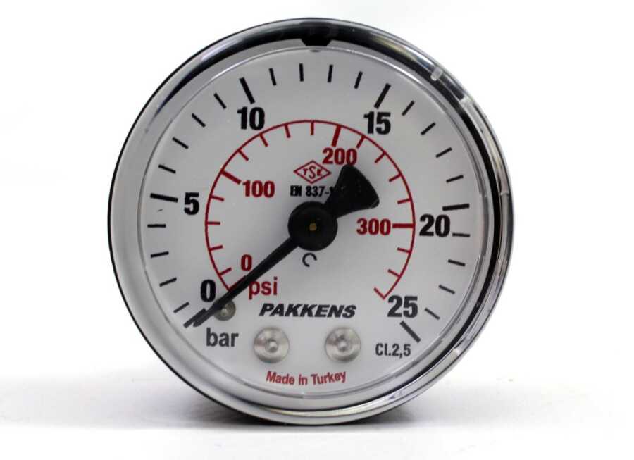 PAKKENS Arka Bağlantılı Manometre Ø100 25 Bar 1/4''