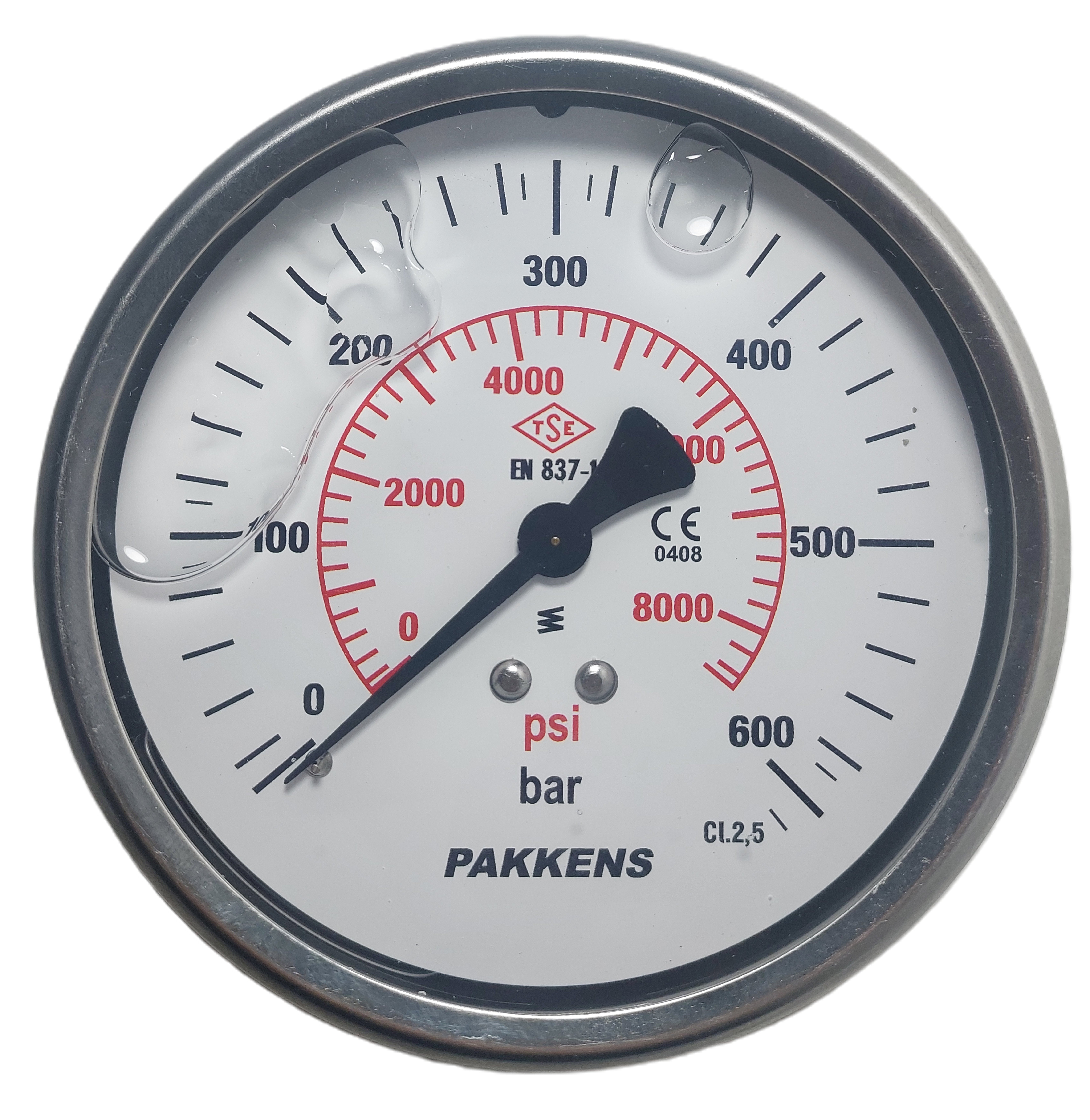 PAKKENS Arka Bağlantılı Gliserinli Manometre Ø100 mm 600 Bar 1/2''