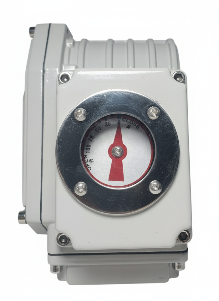 DMS Electric Actuator 50 Nm 24 V DC