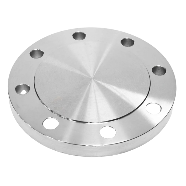 HAK-Pİ Kör Flanş DN300 PN25