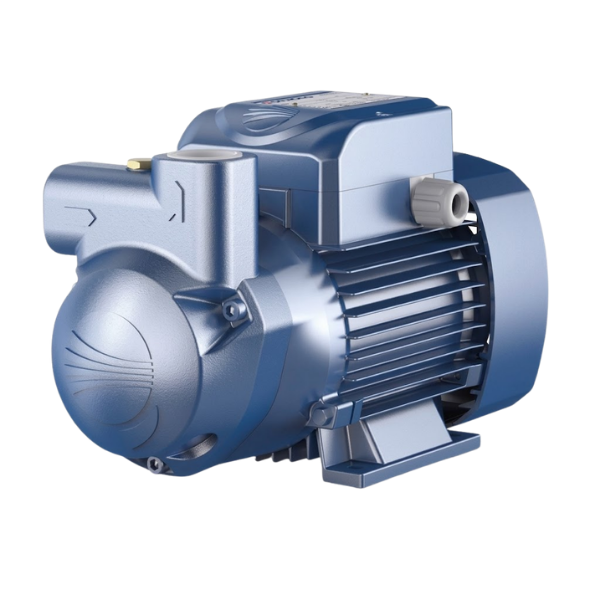 Pedrollo CKRm 90 Yakıt ve Su Transfer Pompası 1 HP 220V