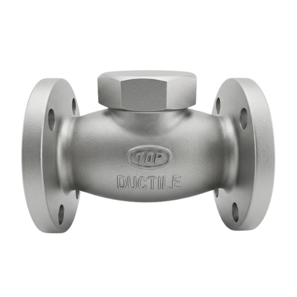 Lift Check Valve PN16 DN50