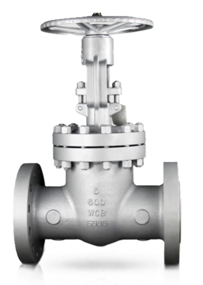 Ayvaz CGAV-10 API 600 Gate Valve