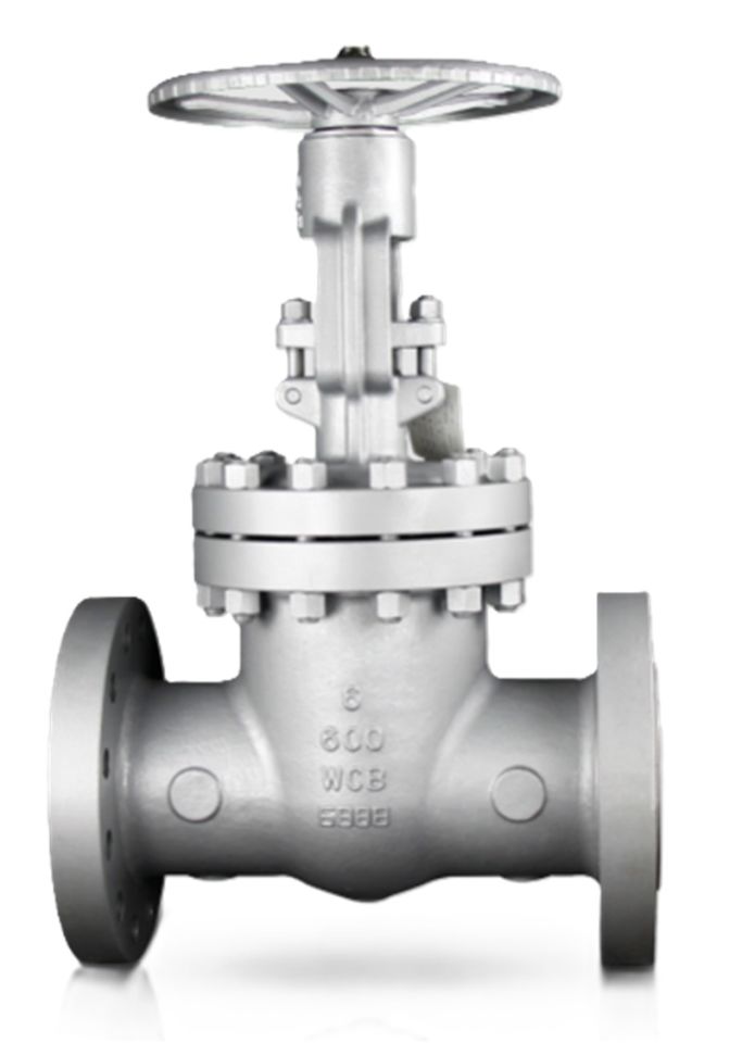 Ayvaz CGAV-10 API 600 Gate Vana