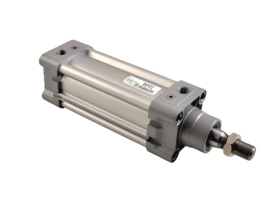 Expflex KDNT 80x300 Magnetic Cushioned Pneumatic Cylinder