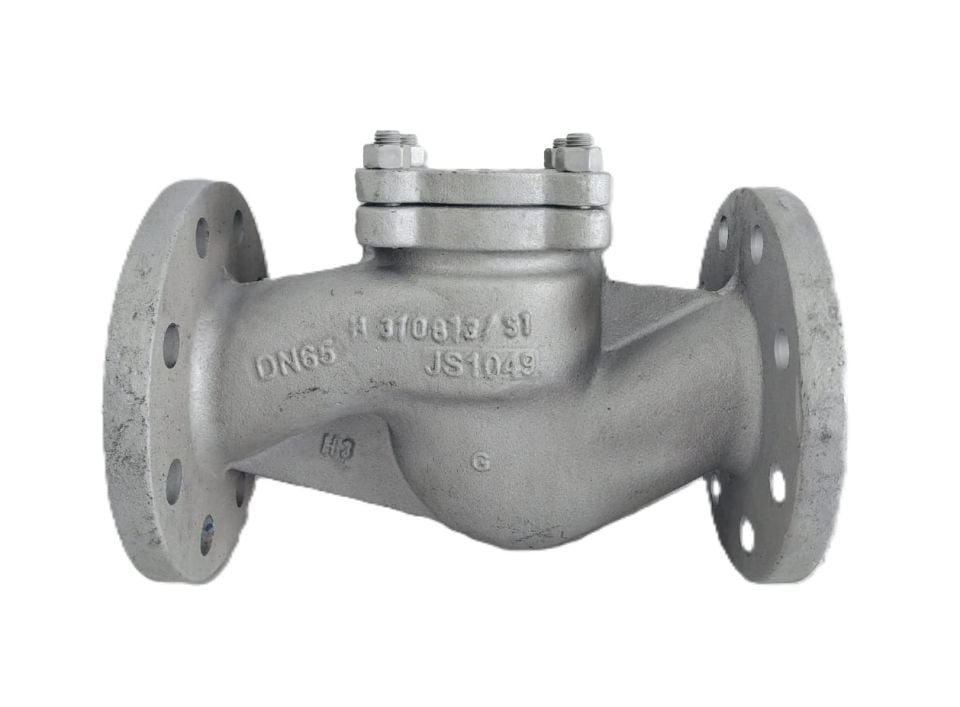 ARI CHECKO-V 23.003 Lift Check Valve PN25 DN65