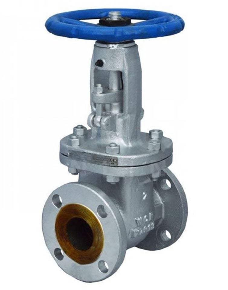 Ayvaz CGAV-20 API 600 Gate Vana