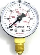 Pakkens Alt Bağlantılı Kuru Tip Manometre R 1/4'' 60 Bar 50 mm