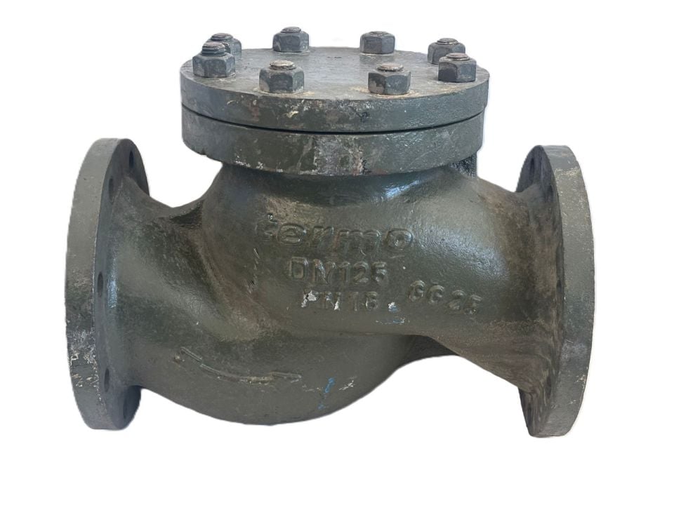 TERMO TCVA13D Lift Type Check Valve PN16 DN125