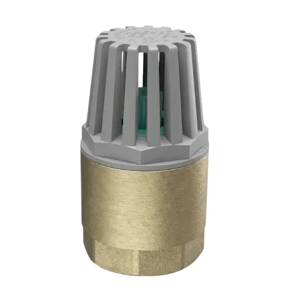KLEPSAN Yaylı Dip Klape 1'' PN16