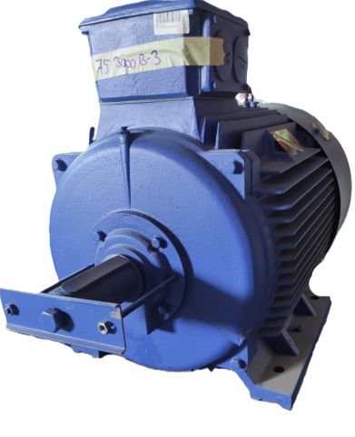 DEG DRIVE Electric Motor 75 kW 2975 rpm IE2 B3 Flanged