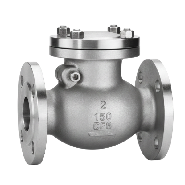 Ayvaz CSCV-10 Swing Çekvalf Class150 DN65