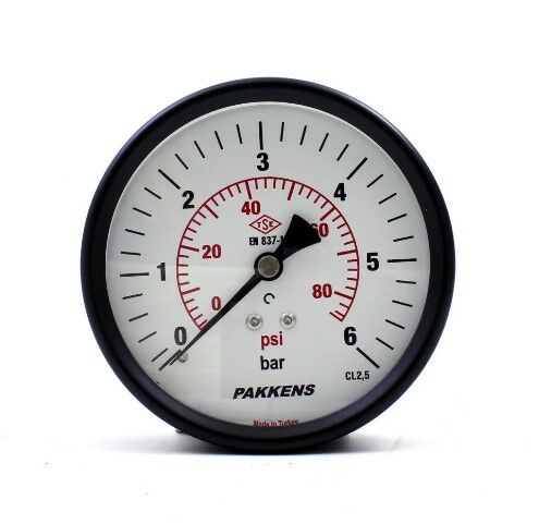 Pakkens Манометър със задна връзка Ø100 мм 6 Bar 1/4