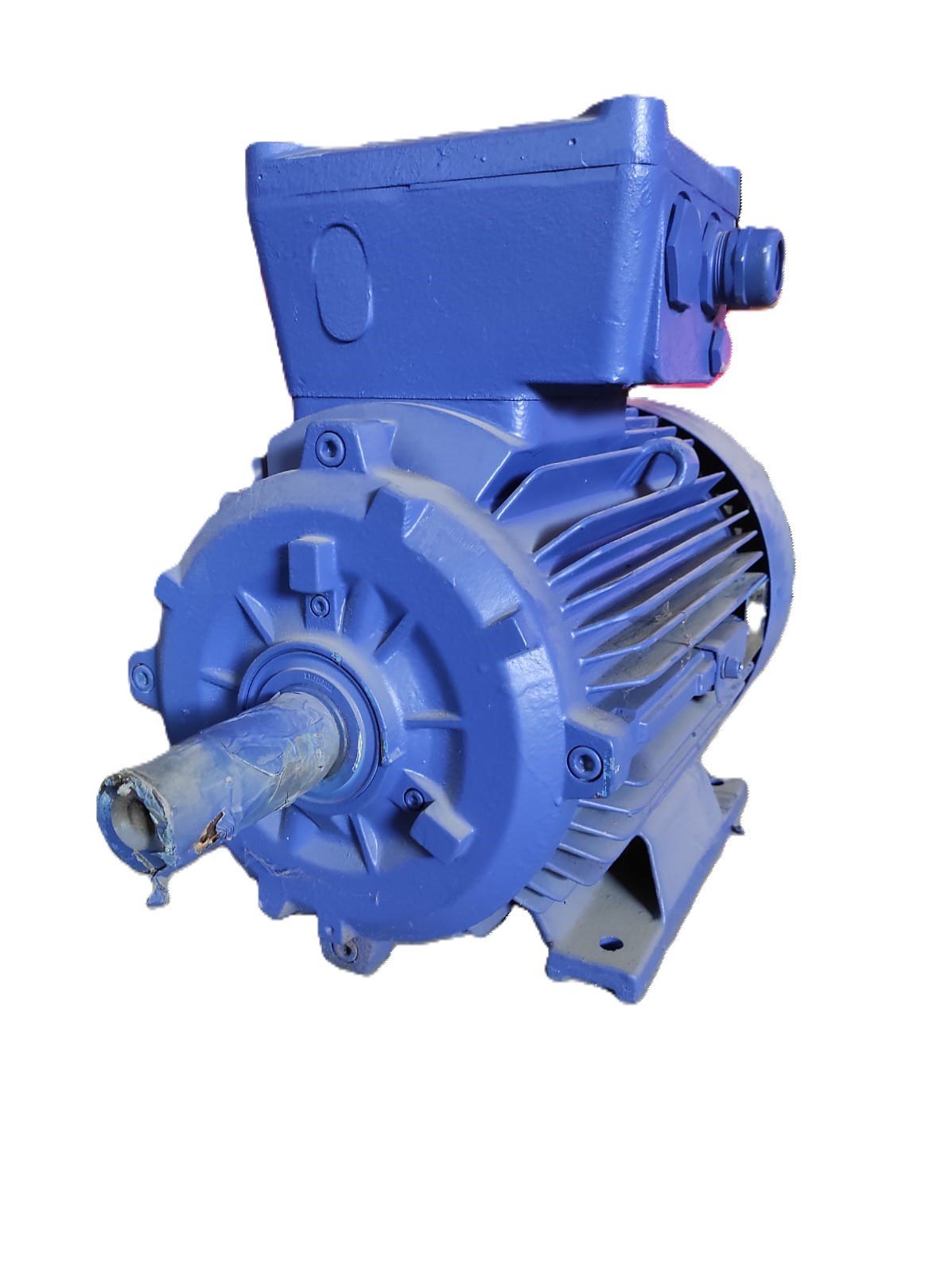 Електрически мотор Marelli Motori Ex-Proof 18,5 kW 2925 - ATEX