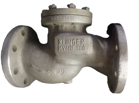 T Type Stainless Cast Strainer DN100 PN40-AISI 316