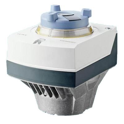 SIEMENS SAL31.00T10 Vana Motoru