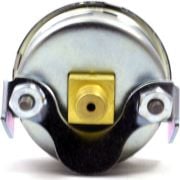 Pakkens Rear Connection Panel Type Manometer Ø63 mm 60 Bar 1/4''