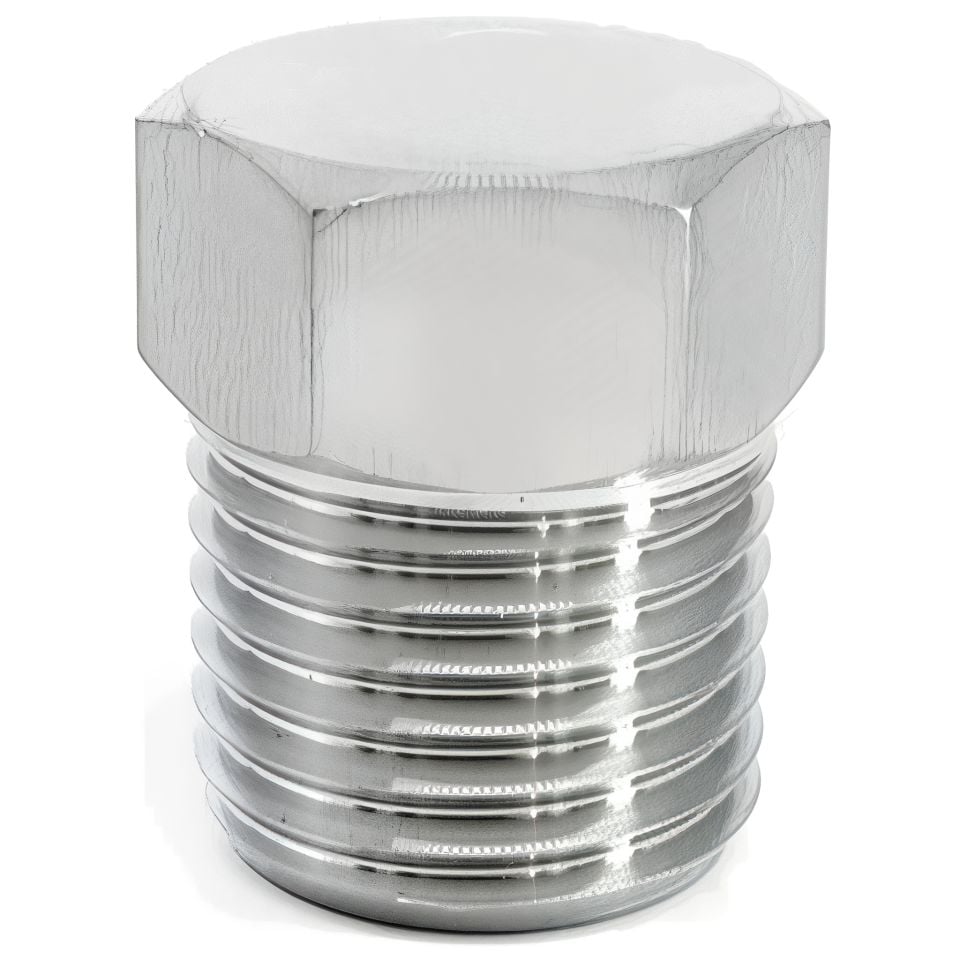 Paslanmaz Dış Dişli Kör Tapa AISI 304 1/4''