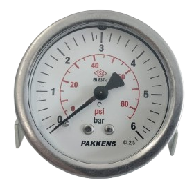 PAKKENS Arka Bağlantılı Pano Tipi Manometre Ø63mm 6 bar 1/4'' Cl 2,5