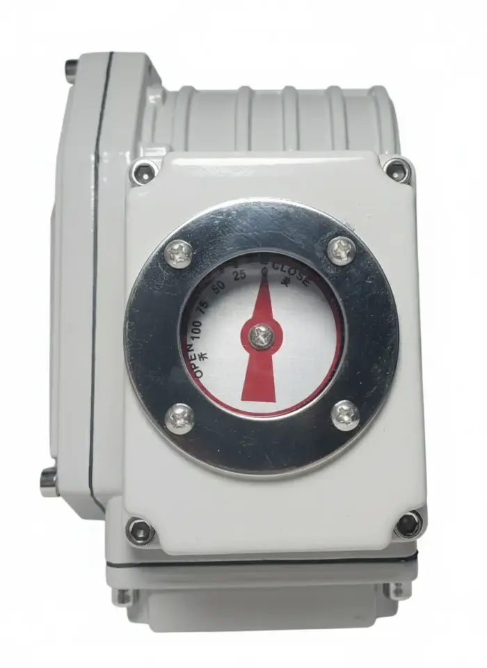 DMS Elektrikli Aktüatör 50Nm 220V AC