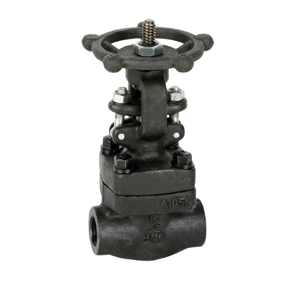 Ayvaz FGLV-20 Gate Vana API 602 2''