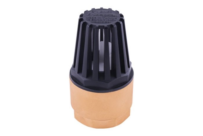KLEPSAN Spring Loaded Check Valve 2 1/2