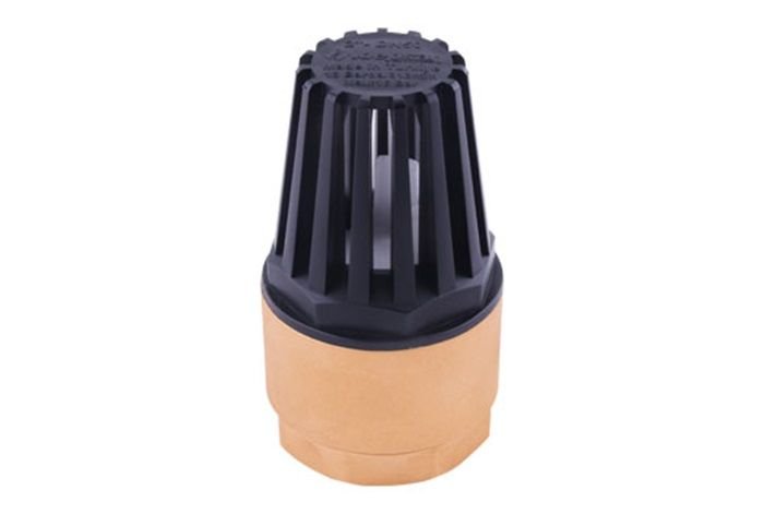 KLEPSAN Spring Loaded Check Valve 2 1/2