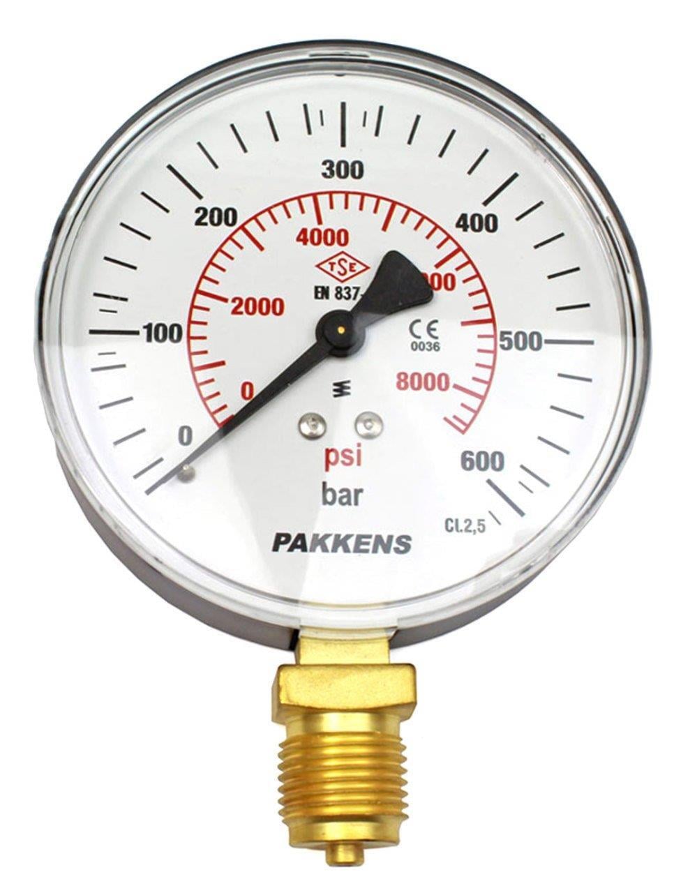PAKKENS Bottom Connection Manometer Ø100 mm 600 Bar 1/2''