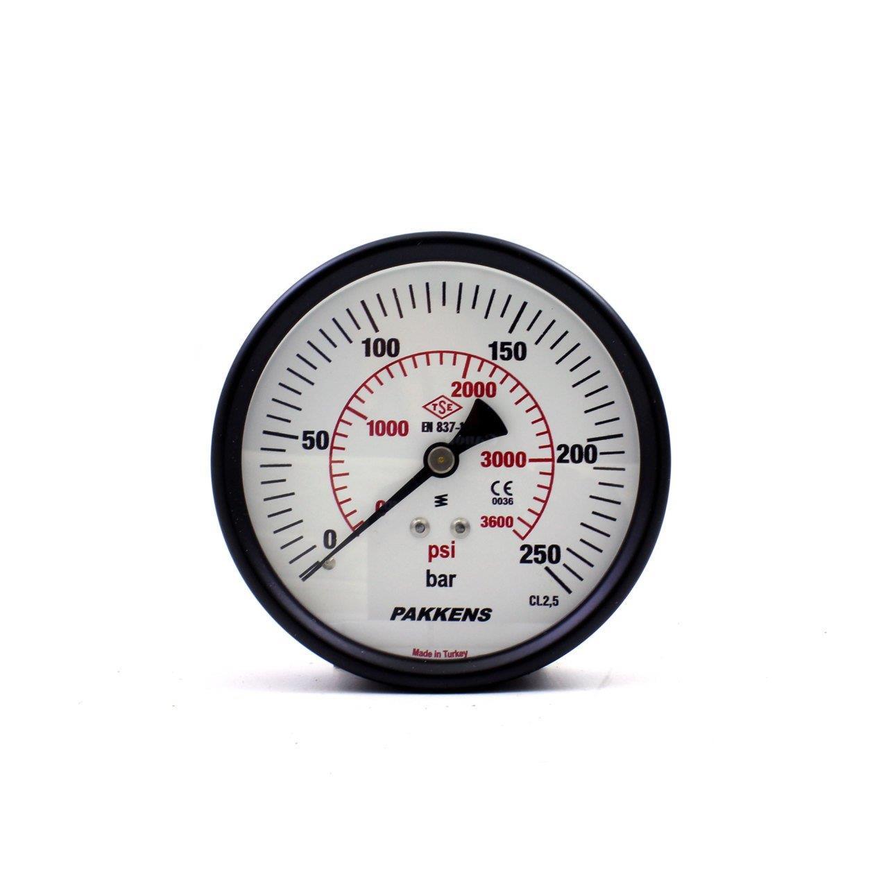 Pakkens Back Connection Dry Type Manometer Ø100 mm 250 Bar 1/4''