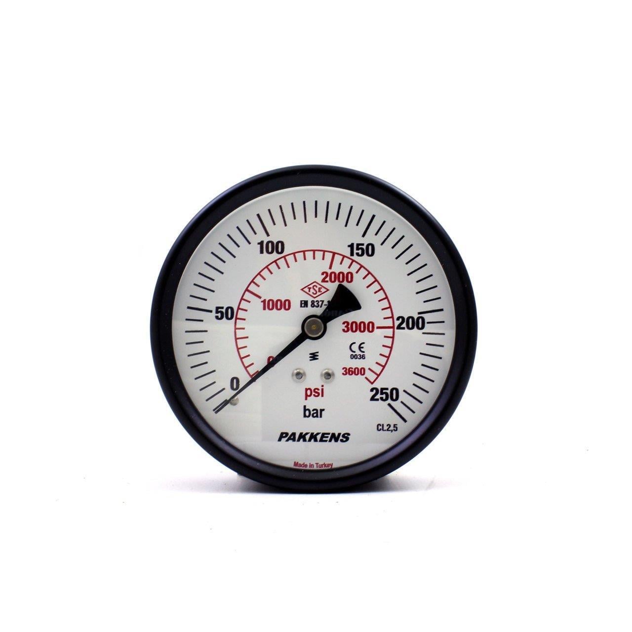 PAKKENS Arka Bağlantılı Kuru Tip Manometre Ø100 mm 250 Bar 1/4''