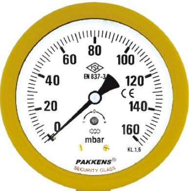 PAKKENS Capsule Diaphragm Pressure Gauge, Back Mount, Ø100 mm, 25 mbar
