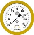 PAKKENS Capsule Diaphragm Pressure Gauge, Back Mount, Ø100 mm, 25 mbar