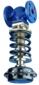 ARI-PREDU® 12.701 Pressure Reducing Valve DN25 2.0-5.0 Bar PN16 | ORFA Industrial