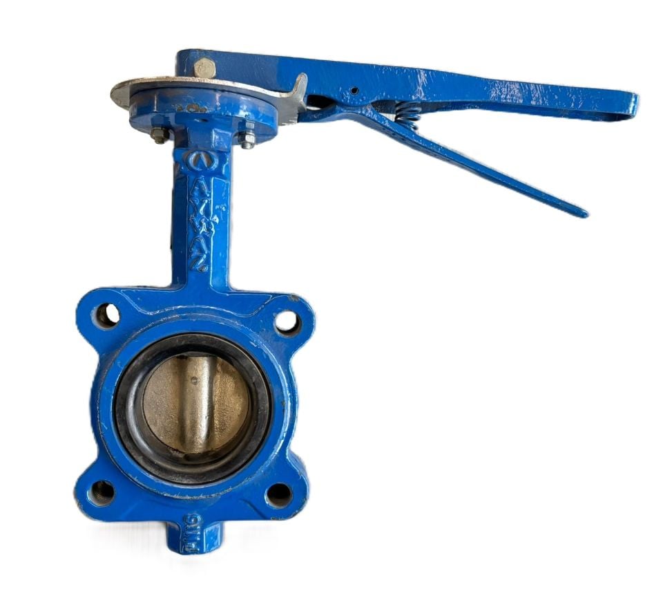 Ayvaz KV12 Lug Tipi Kelebek Vana DN65