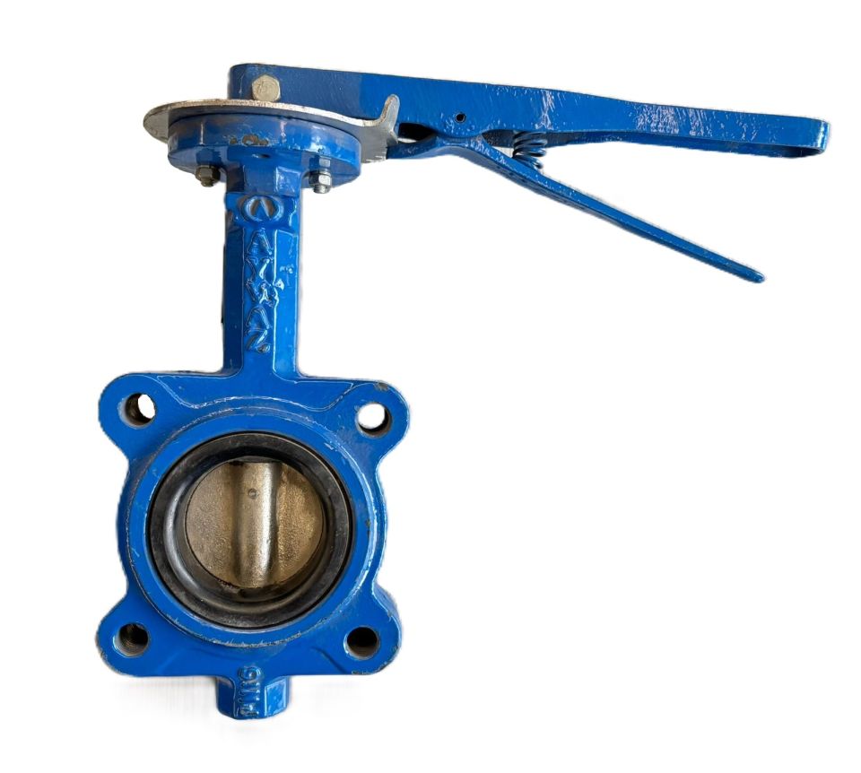 AYVAZ KV12 Lug Tipi Kelebek Vana DN65